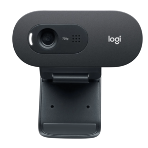 Logitech C505e Webcam