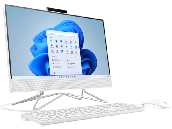 HP All-in-One 22-dd2267nh PC