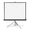 Lightwave Projection screen 200*200 Tripod