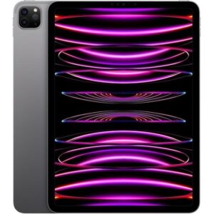 iPad Pro 4th Gen 11-inch 256GB (MNXF3B/A)