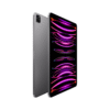 iPad Pro 5th Generation 2TB 12.9-inch Wi-Fi + Cellular